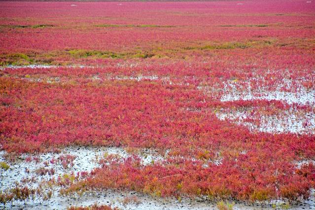 自驾锦州盘锦铁刹山路线,辽宁棋盘山自驾游攻略