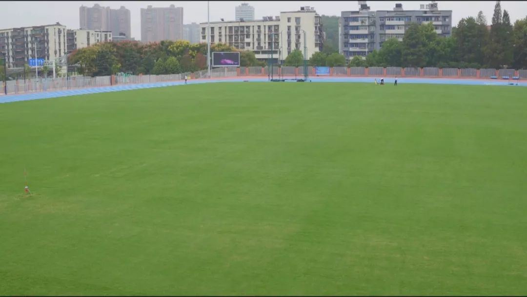 吴家山中学校园,吴家山新高中