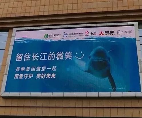 阿拉善see公益在哪,感谢爱心人士及企业的大力支持