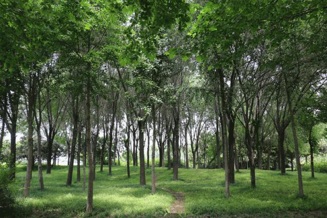 19年的郑州真的很美,大美郑州震撼来袭