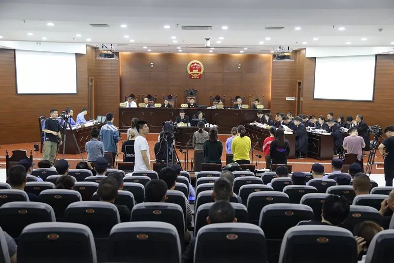 一粒减肥药成本3毛钱,一粒减肥胶囊成本不到一毛