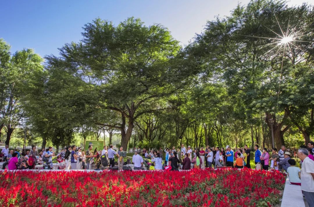 没错，这就是包头！一起为包头转发！为包头点赞！