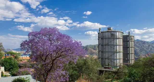 壮丽70年奋斗新时代的相关资料,攀钢发展历程