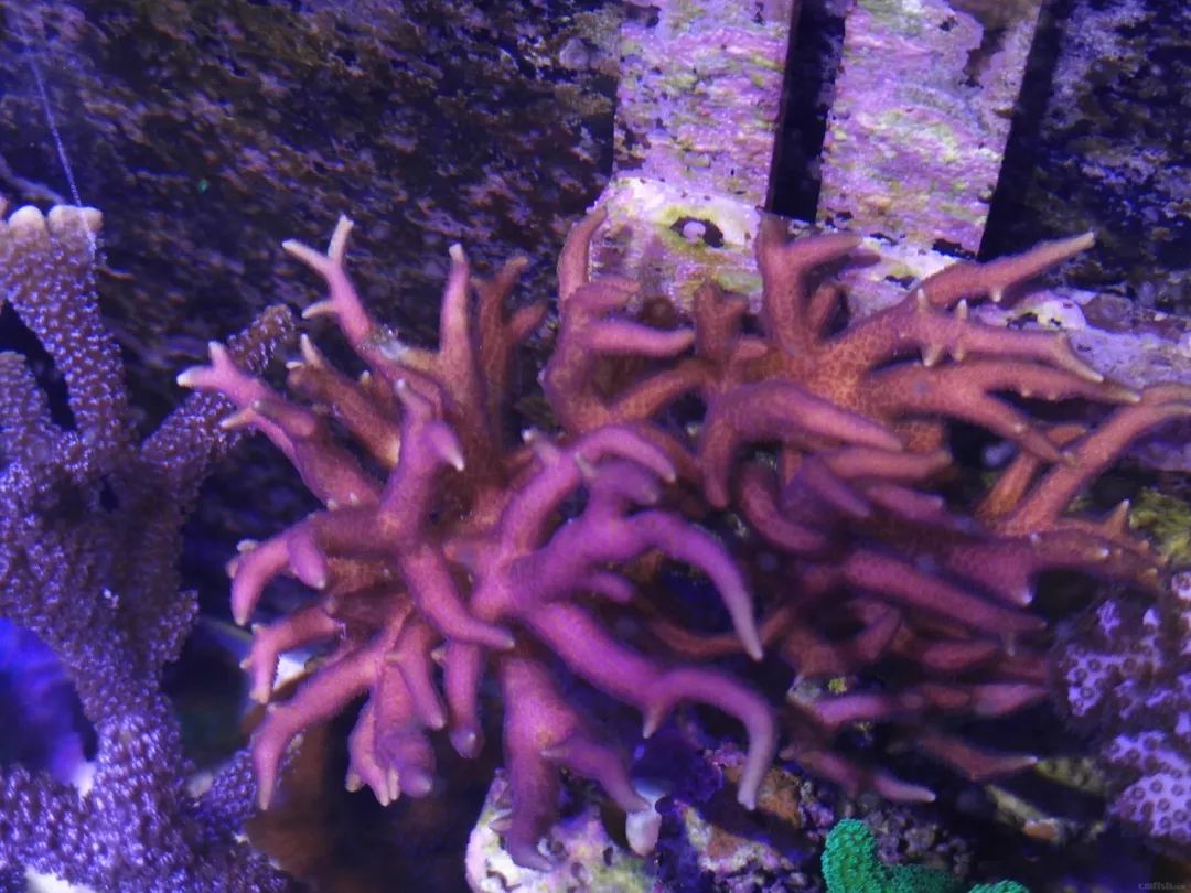 40小缸全套,40的方缸用多大的过滤桶