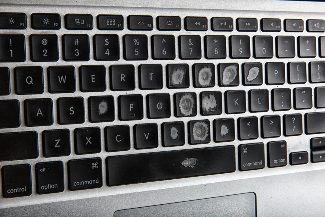 PNSO×化学工业出版社恐龙文创产品摩点众筹上线：寻找消失的恐龙，就是寻找消逝的童年