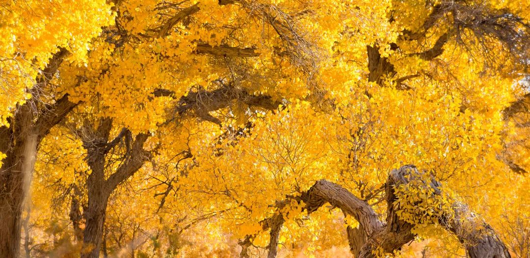 认识世界从哪里开始,认识世界从认识什么开始