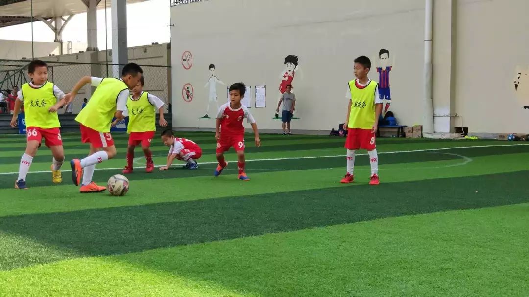 青扬杯全国青少年足球赛,2019年元旦和合杯青少年足球赛