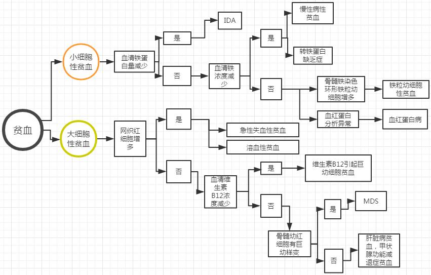 妊娠贫血诊断标准是什么,贫血最可靠的诊断依据是