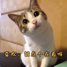 家里墙壁总是又脏又黄怎么办,墙壁发霉脏怎么刷