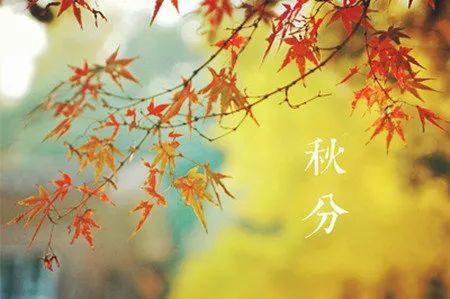 秋分中国农民丰收节对孩子的寄语,农历秋分日为中国农民丰收节