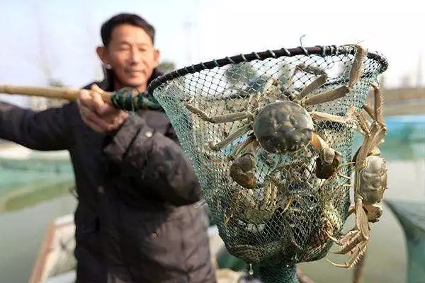 全民可炒的“期货蟹”，传统经销商正在被革命，你的钱包到底养活了谁？