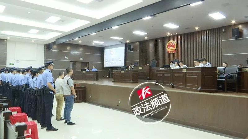 惊呆！自建温室大棚种*麻大**，这伙人栽了