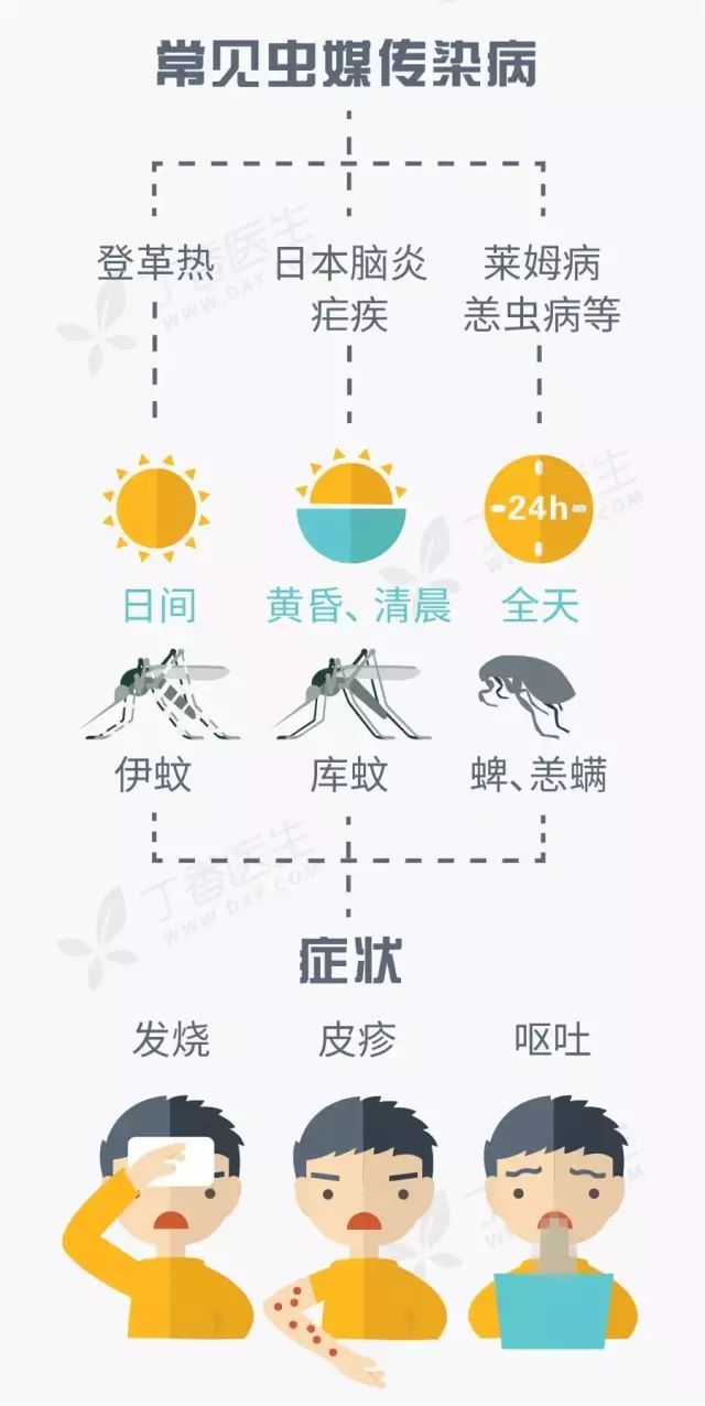 灭蚊最有效方法,这些灭蚊方法最有效你做对了几条