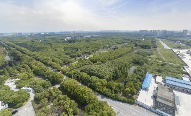 街采原生态感悟,奉贤区今昔变迁