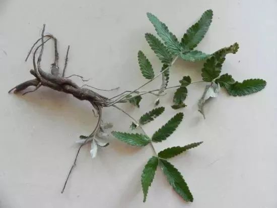 无痛拯救12亿低头族！5分钟搞好酸、痛、僵、麻，解颈椎“夺命包”