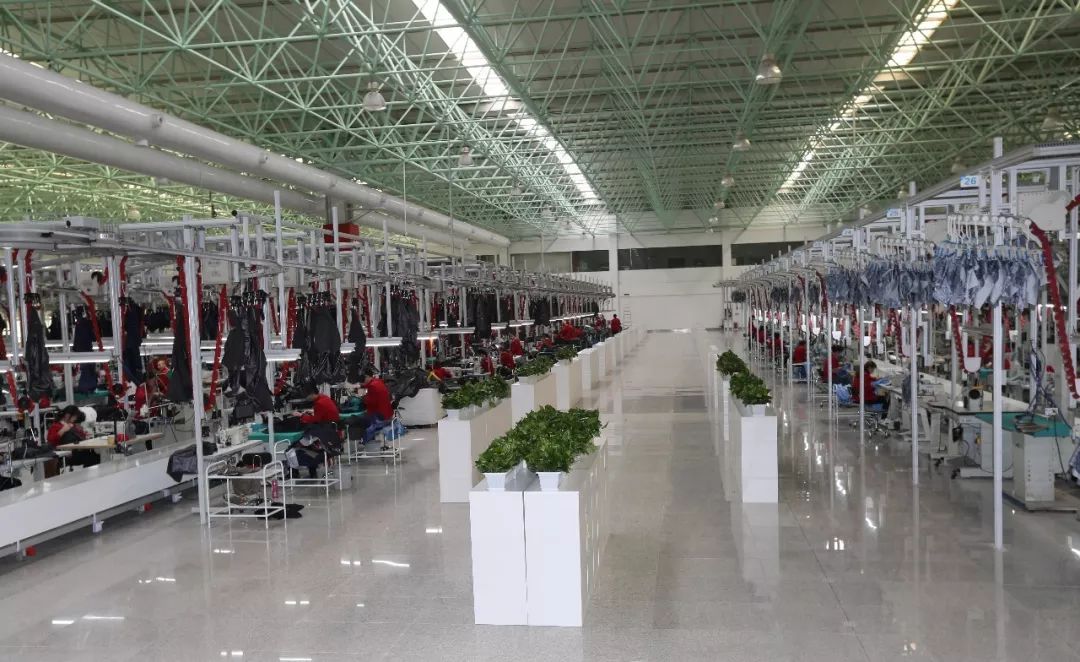 聚焦|坚守47年，如意集团是如何让羊毛成为奢侈品的？