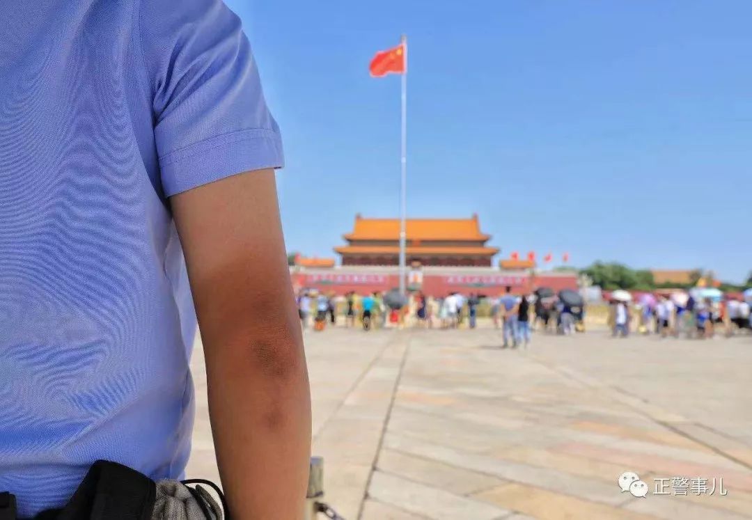 守护者第二季解说,守护者大结局