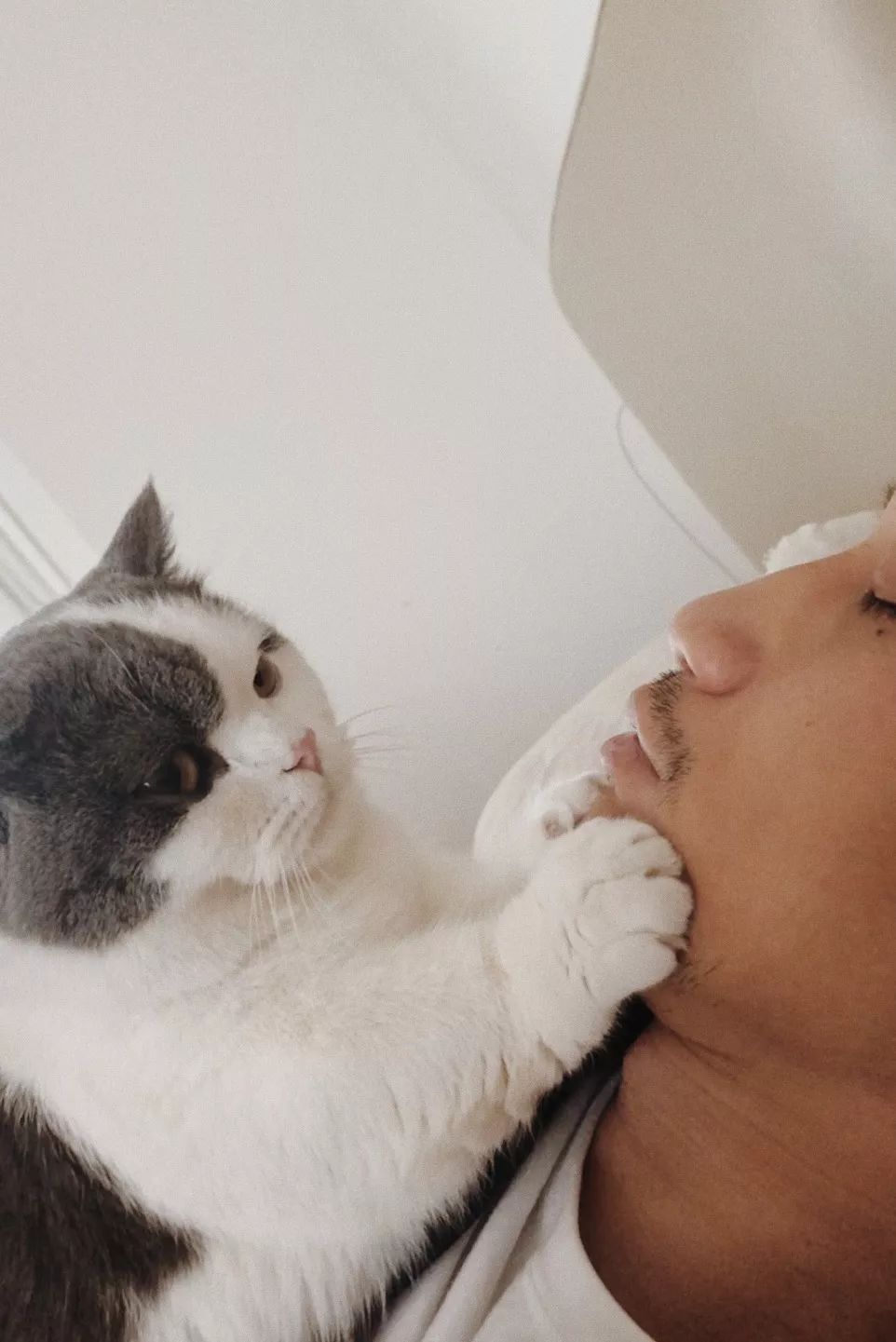 HomewithSS|家的进化论