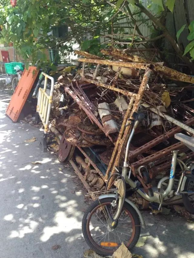 为了泳滩，遇上稔子和山日