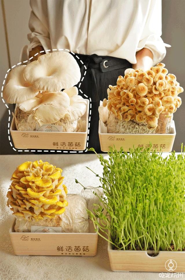 最低5.8折！火锅中的美容院，贵妇的养颜神器！据说99%的仙女，都抵不住诱惑