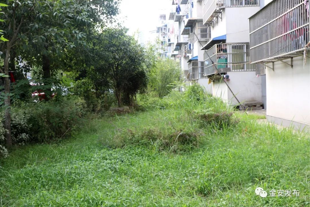 碧桂园空置房物业费收取标准,碧桂园老带新物业费不给了怎么办