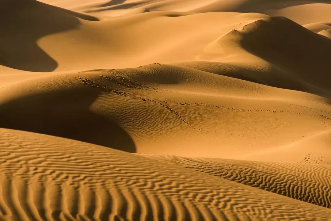 选好出行路线,选日期出行