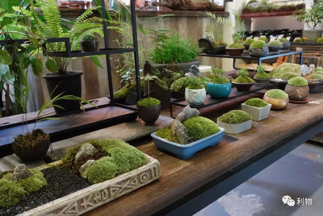 好物分享秋季爆款,秋秋好物分享推荐