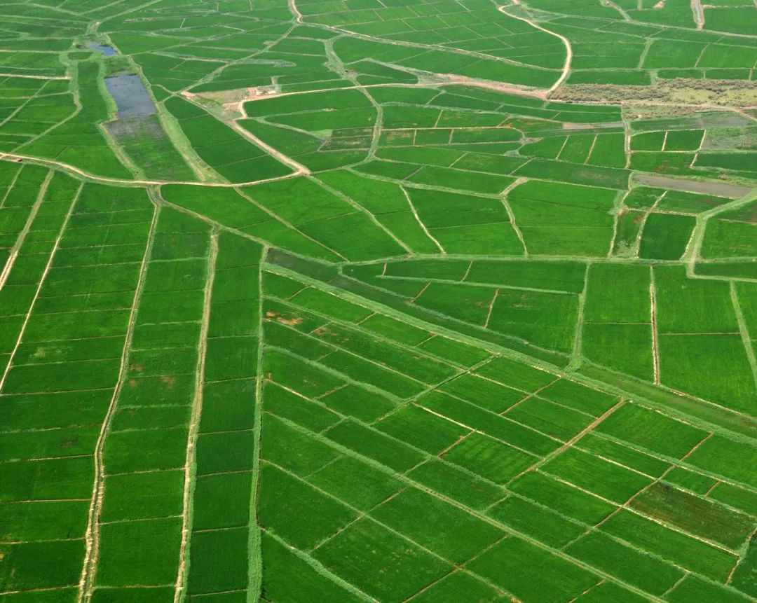 宁夏有多少神奇的故事,宁夏古老的传说