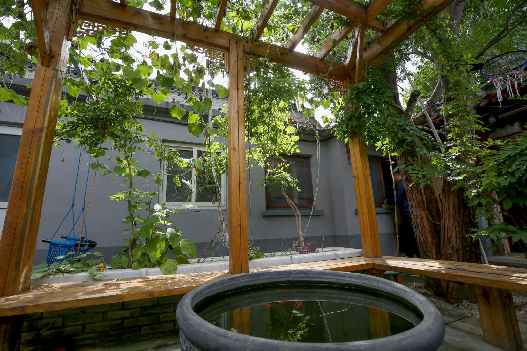 今年全市739条背街小巷花团锦簇（下）