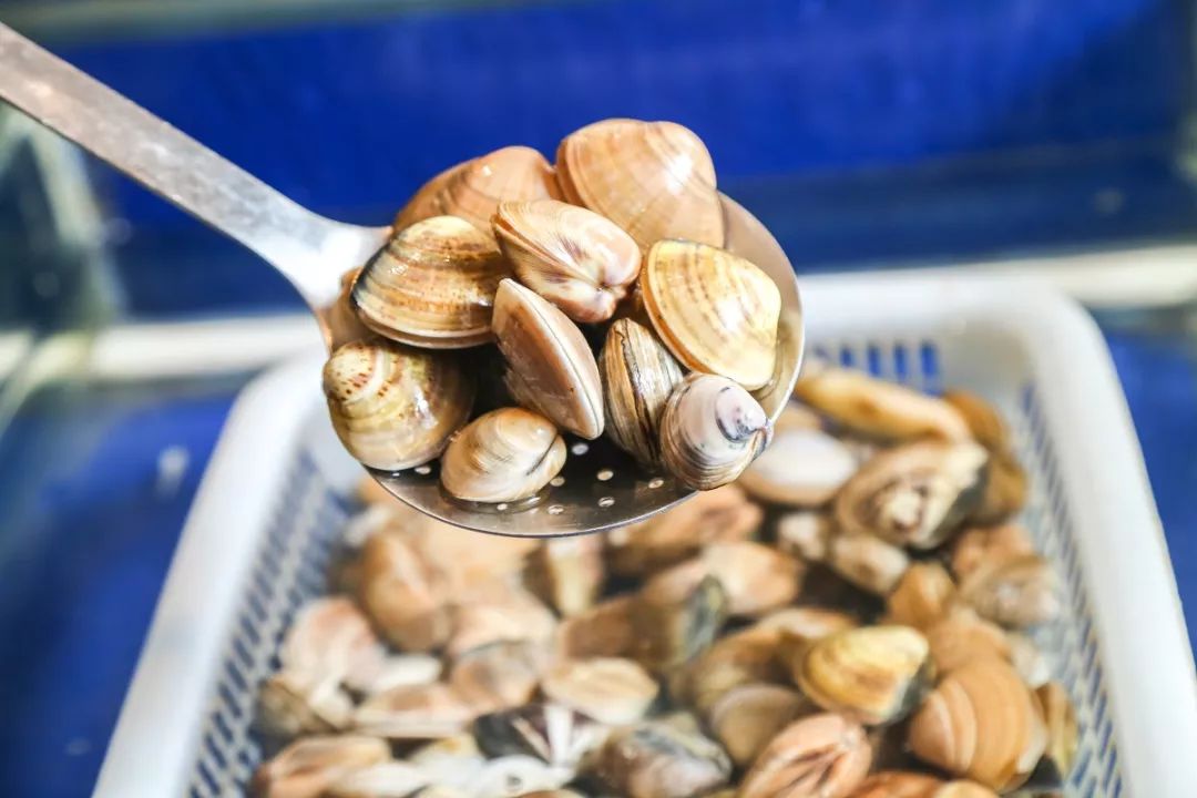 大闸蟹畅吃套餐,五星酒店大闸蟹