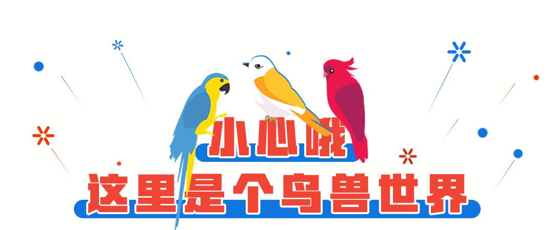 柏乐园附近美食,柏乐园有没有美食