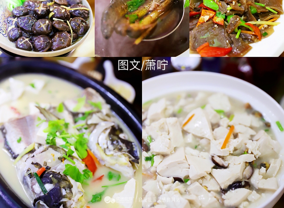 打卡中国第一高塔600米小蛮腰,打卡光明四大网红桥