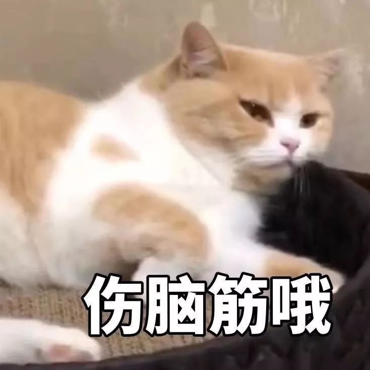 内裤勤换不容易得妇科病,内裤脏得特别快是妇科病吗