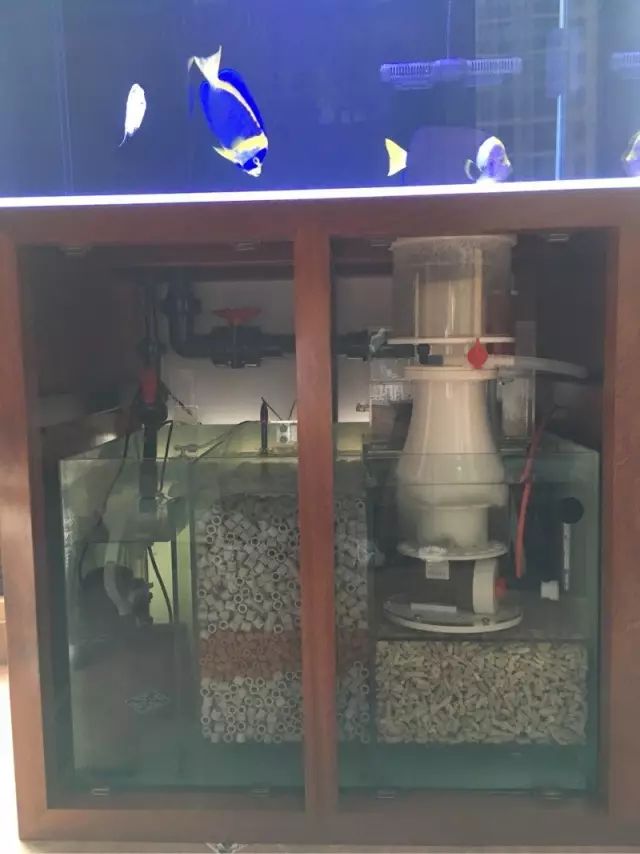 fot多大缸,fot高缸