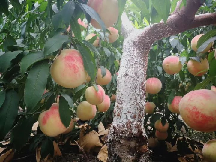 北仑小港有什么好玩的地方,北仑小港去哪玩