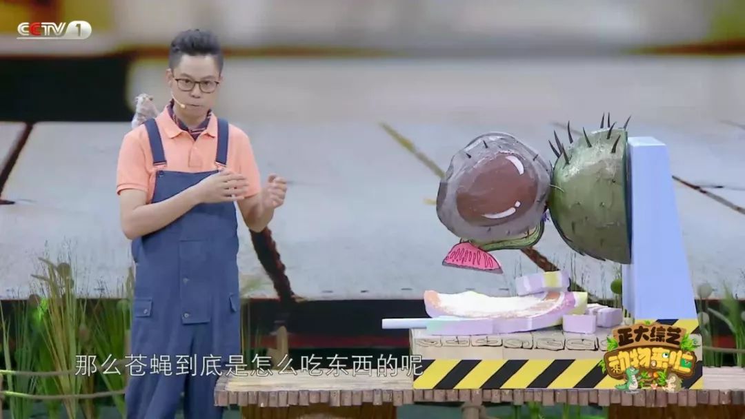 苍蝇为什么喜欢爬行,苍蝇为什么要搓手还把头拧下来玩