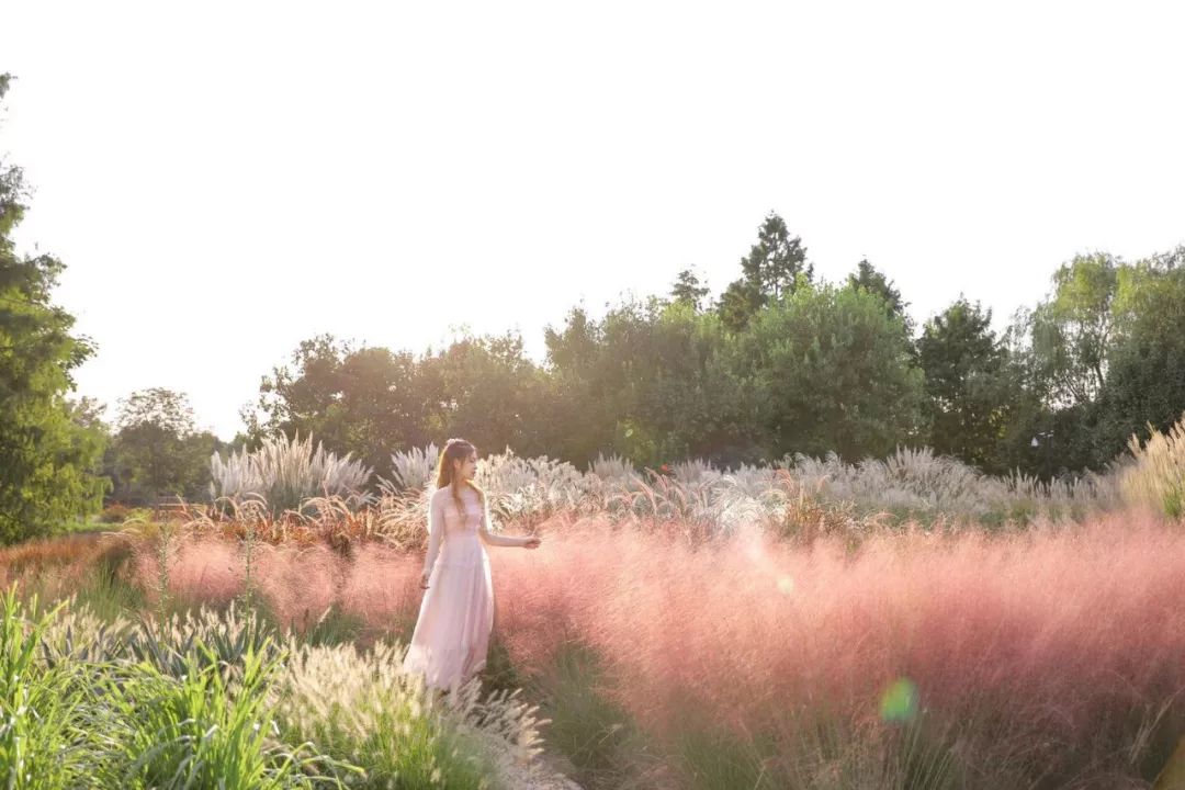 假期余额不足剩余1%请及时充值,假期余额不足去旅行