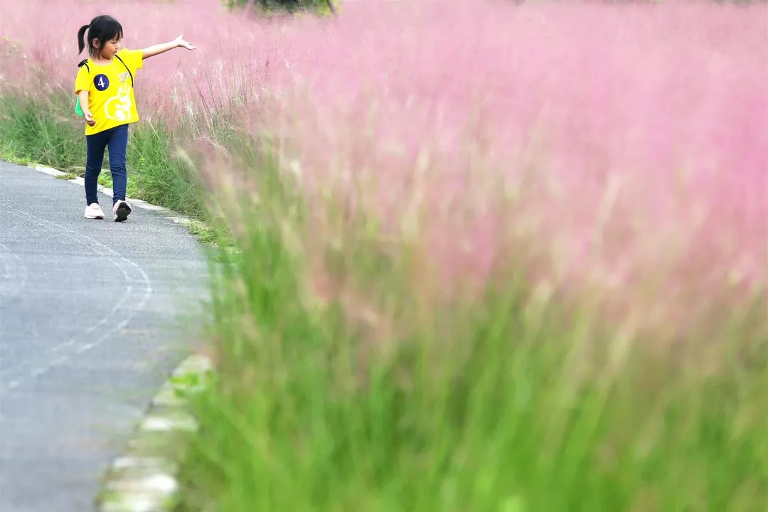 年内建成赵巷公园、翔江公园等5座公园,实现“百个公园”目标!“美丽嘉定”愈发精秀怡人