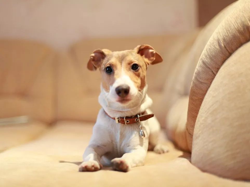 火车安检工具有哪些不能带,火车地铁站安检不能带的东西