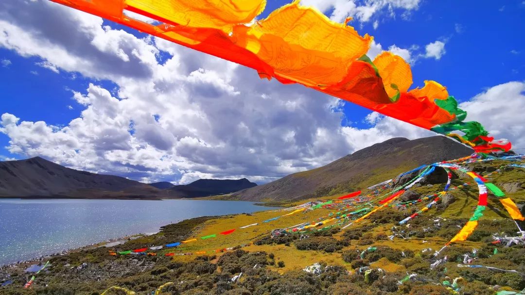 糟了，明天要上班了！我脑子里全是山南的措