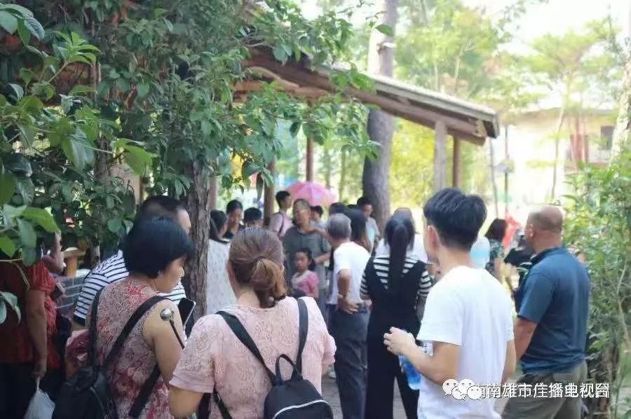 农村生态旅游景区生态休闲好去处,乡村生态旅游火热