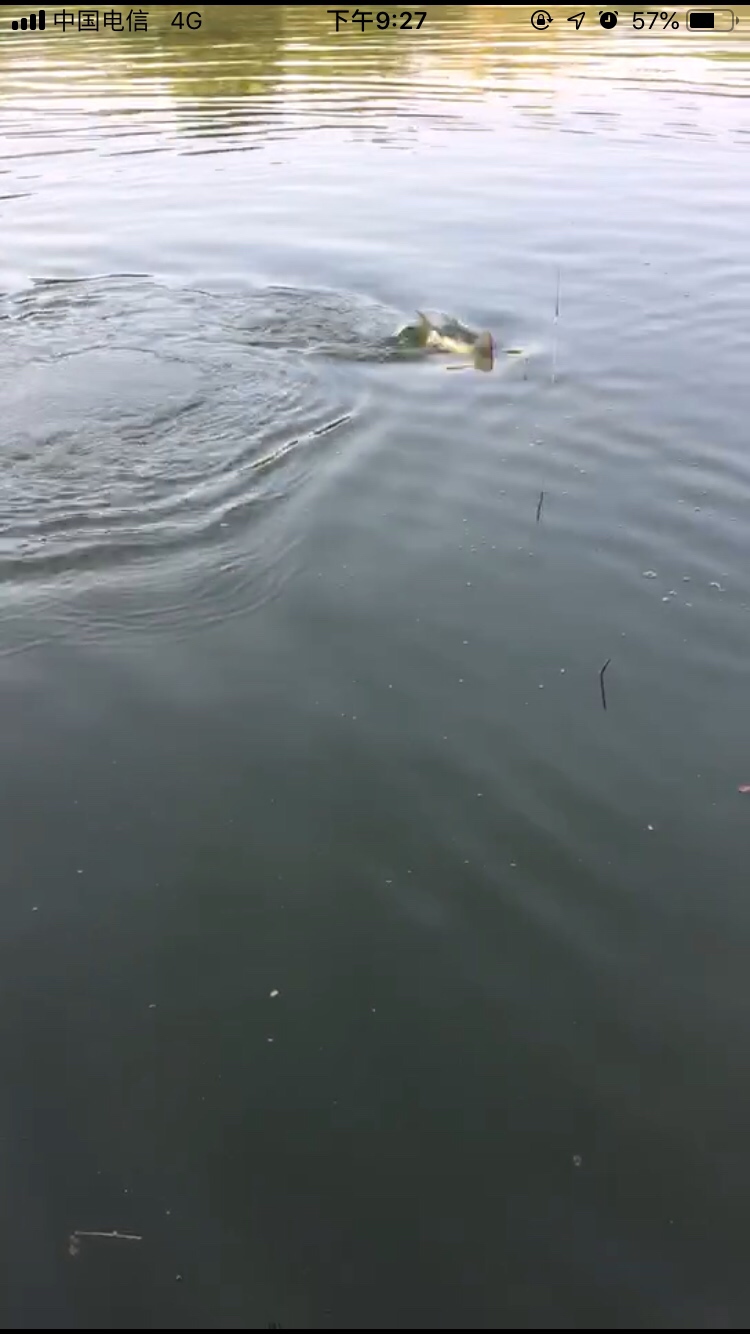 假期回家阖家欢乐,假期来郊外玩心情美美哒