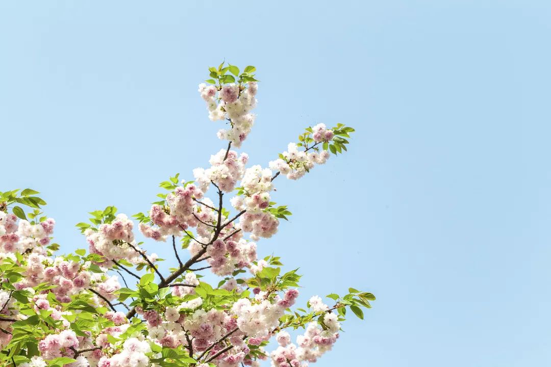 相处太累的关系就不要维持了说说,相处太累的关系就互删吧