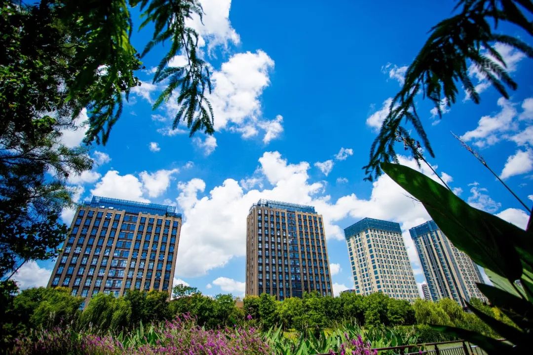 上海松江新城的发展前景,松江新城崛起