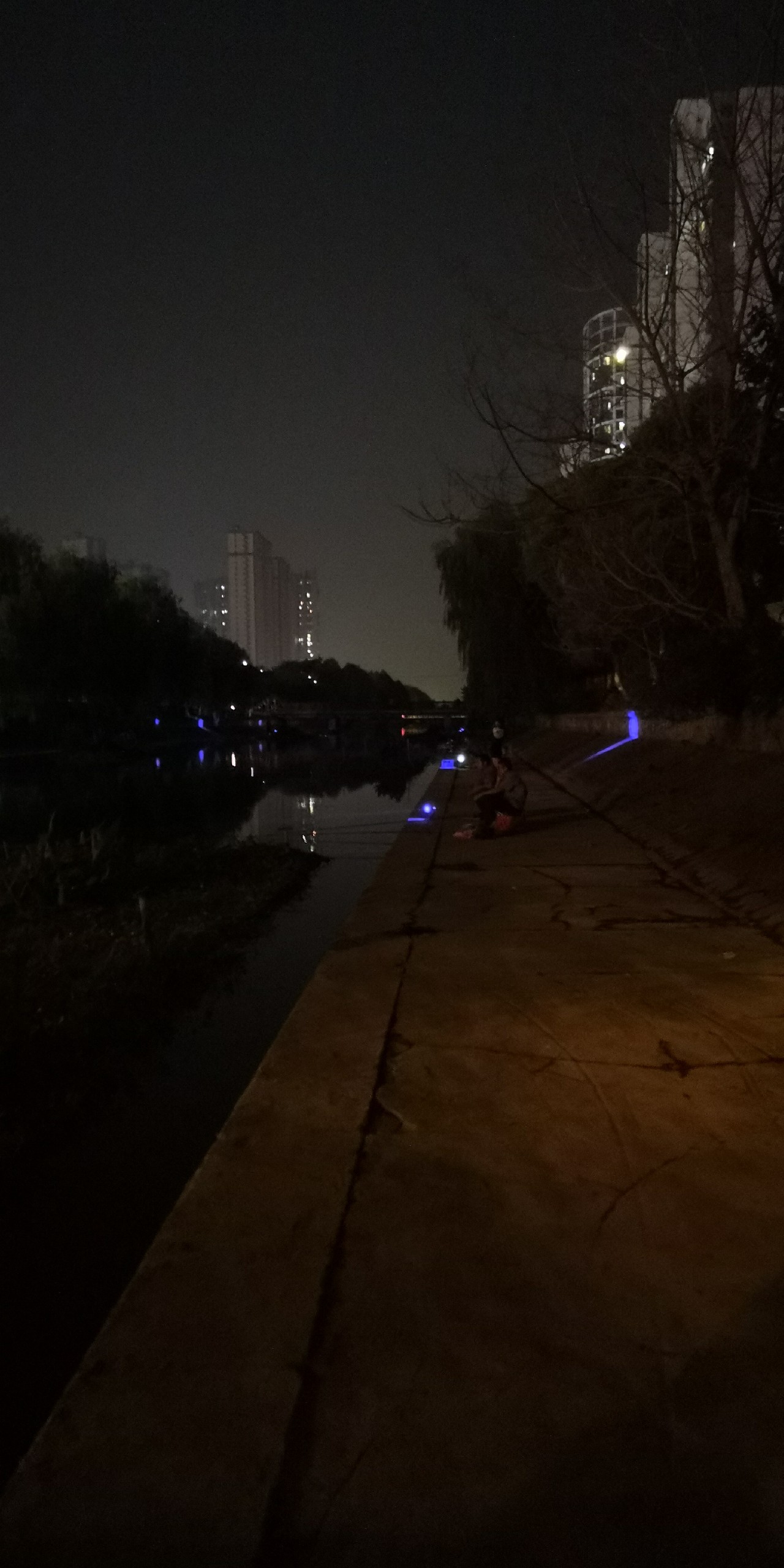 入坑第一天钓鱼,入坑一年所钓的鱼种