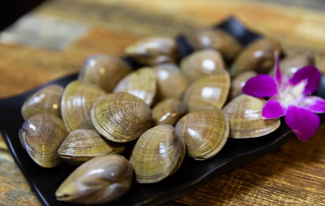 榫欏矖閫傚悎鎯呬荆鍘荤害浼氬悆楗殑鍦版柟,榫欏矖閫傚悎鎯呬荆绾︿細缇庨