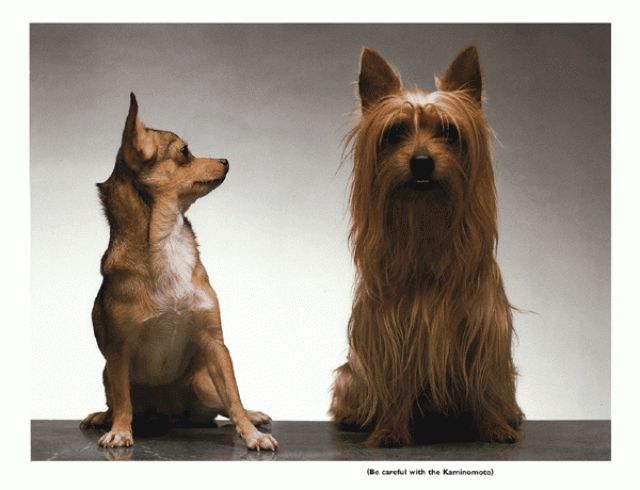 写广告文案灵感爆发,广告创意文案高质量