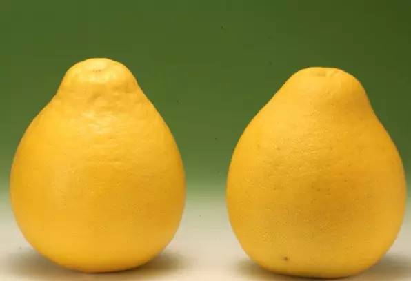 怎么吃柚子美白,美白喝蜂蜜柚子