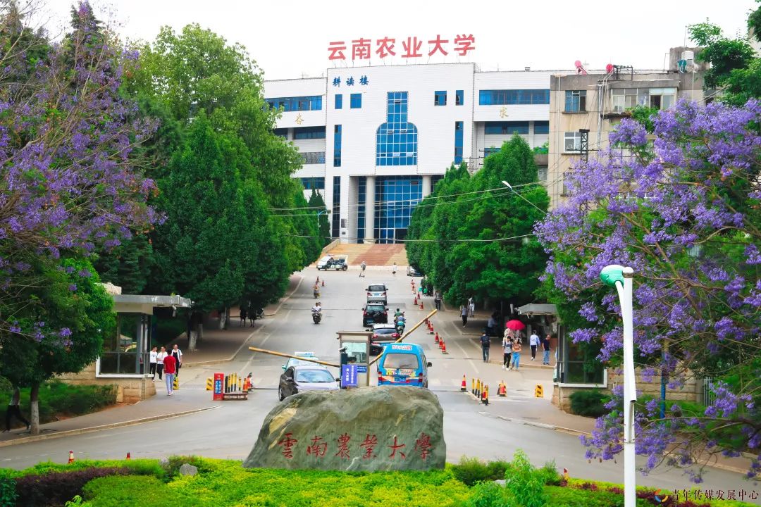 农大在哪里啊,农大在哪呢