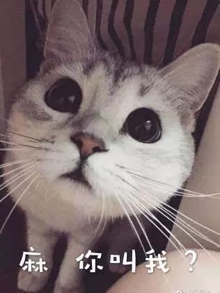 谁还不是个小可爱文案,谁小时候还不是个小可爱